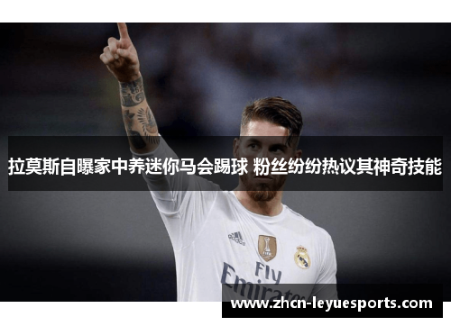 拉莫斯自曝家中养迷你马会踢球 粉丝纷纷热议其神奇技能