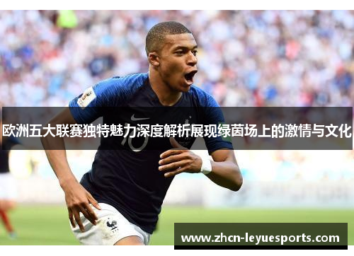 欧洲五大联赛独特魅力深度解析展现绿茵场上的激情与文化